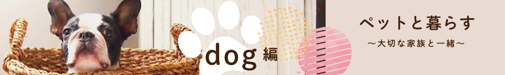 ペット可賃貸物件【小型犬】
