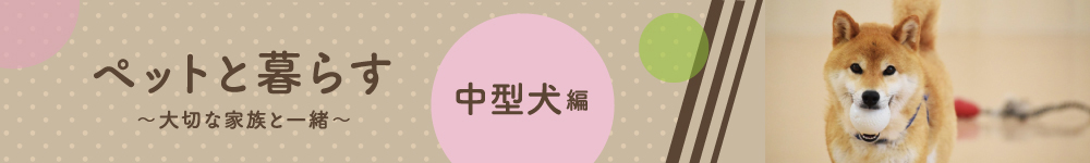 ペット可賃貸物件【中型犬】