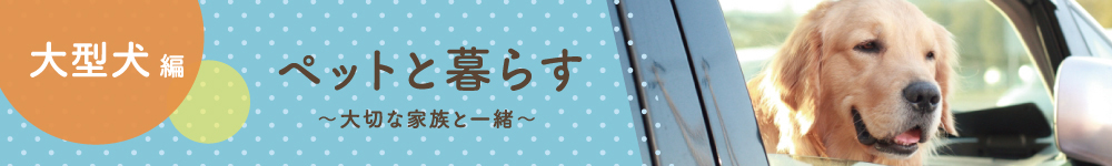 ペット可賃貸物件【大型犬】